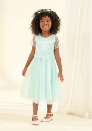 Anya Sage Beaded Tulle Dress