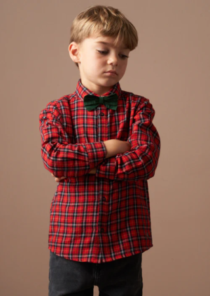 Joseph Red Check Shirt With Bow Tie