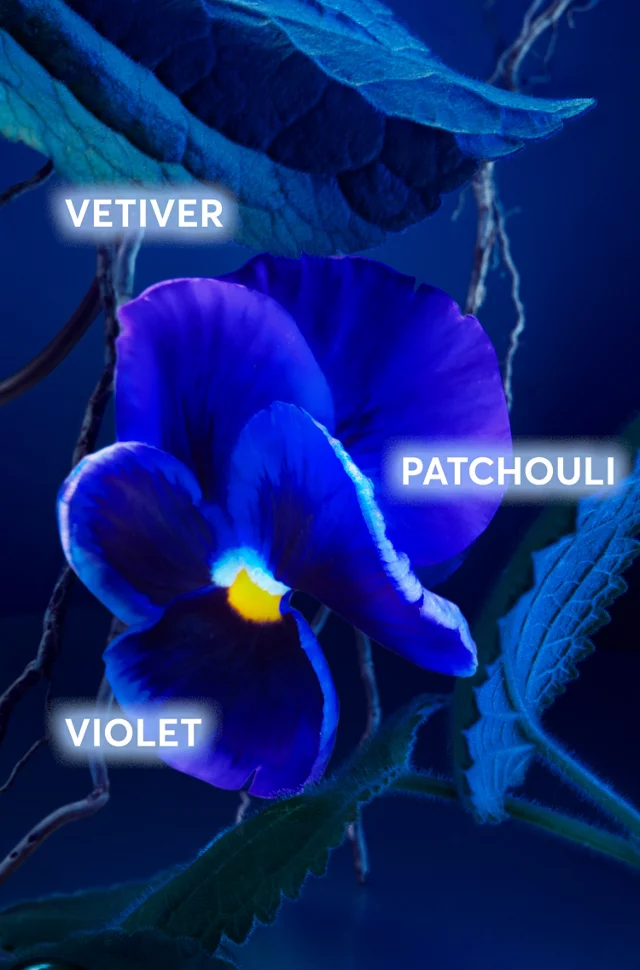 BOSS BOTTLED TRIUMPH ELIXIR EAU DE PARFUM HUGO BOSS - Image 4